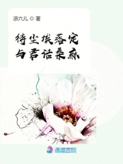 尘埃落定前面一句